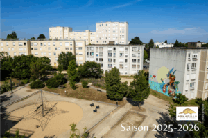 Les Armadillos seront présents au forum des associations à la maison des confluences vendredi 5 septembre entre 16h et 19h. Bienvenid@s!